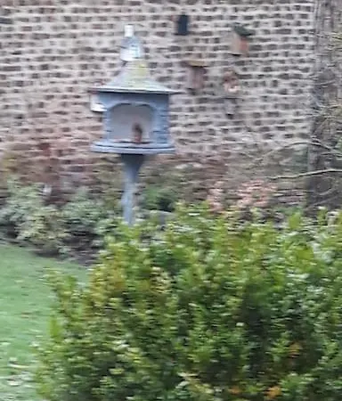 Vakantiewoning Le Chene